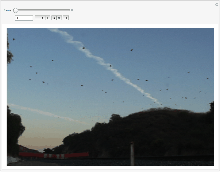 index_11.gif