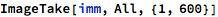 index_117.gif