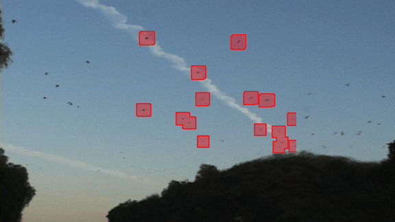 index_3.gif