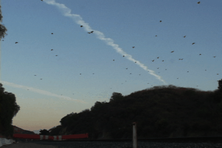 index_30.gif