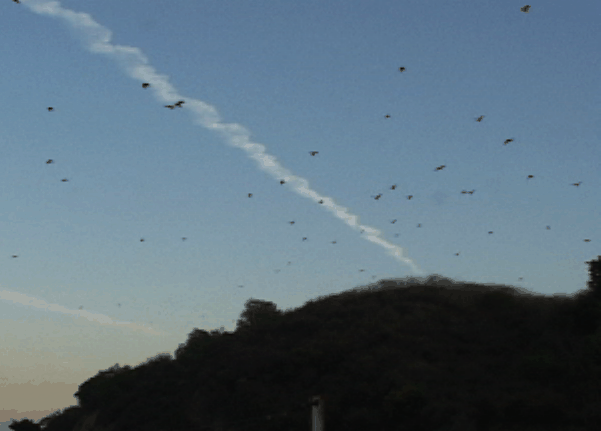 index_35.gif